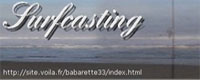 SURFCASTING Pche sur la Cte Atlantique Le Site de BABARETTE33 